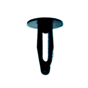 Push Clips Push Clips